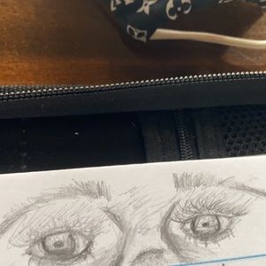 Meet your Posher, Chandler